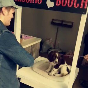 Meet your Posher, Peter